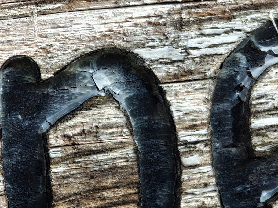 Beispiel-Foto des Xiaomi 14 Ultra