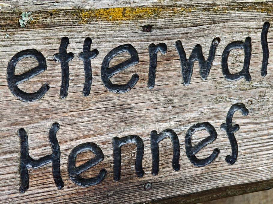 Beispiel-Foto des Xiaomi 14 Ultra