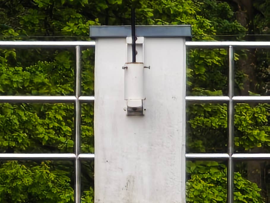 Beispiel-Foto des Xiaomi 14 Ultra