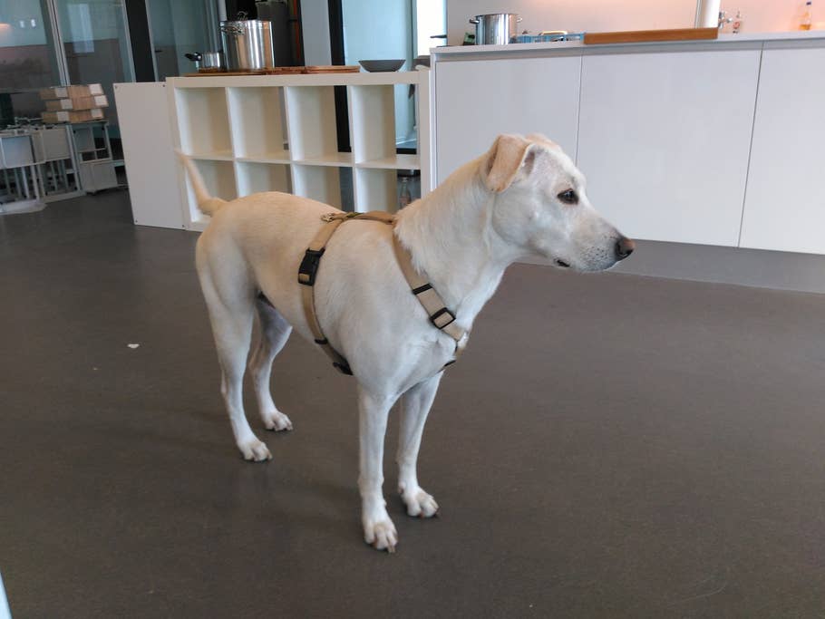 Innenaufnahme mit dem ZTE Blade S6